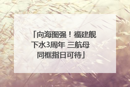 向海图强！福建舰下水3周年 三航母同框指日可待
