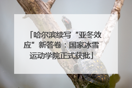 哈尔滨续写“亚冬效应”新答卷：国家冰雪运动学院正式获批