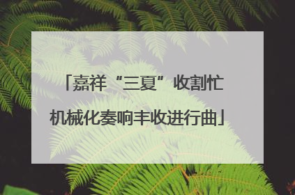 嘉祥“三夏”收割忙 机械化奏响丰收进行曲