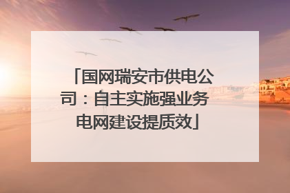 国网瑞安市供电公司：自主实施强业务 电网建设提质效