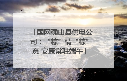 国网确山县供电公司：“粽”情“粽”意 安康常驻端午