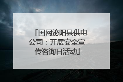 国网泌阳县供电公司：开展安全宣传咨询日活动