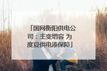 国网衡阳供电公司：主变增容 为度夏供电添保障