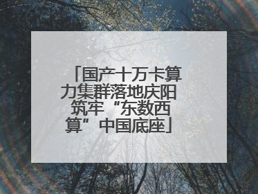 国产十万卡算力集群落地庆阳 筑牢“东数西算”中国底座