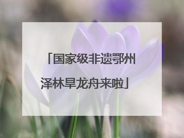 国家级非遗鄂州泽林旱龙舟来啦