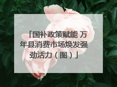 国补政策赋能 万年县消费市场焕发强劲活力（图）