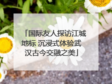 国际友人探访江城地标 沉浸式体验武汉古今交融之美