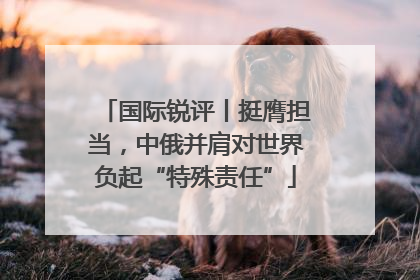 国际锐评丨挺膺担当，中俄并肩对世界负起“特殊责任”
