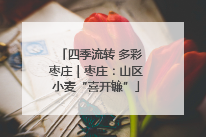 四季流转 多彩枣庄｜枣庄：山区小麦“喜开镰”