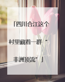 四川合江这个村里藏着一群“非洲顶流”