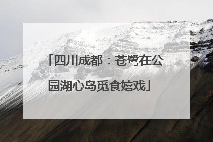 四川成都：苍鹭在公园湖心岛觅食嬉戏