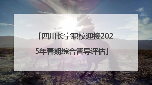 四川长宁职校迎接2025年春期综合督导评估