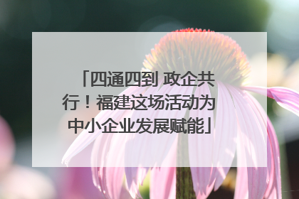 四通四到 政企共行！福建这场活动为中小企业发展赋能