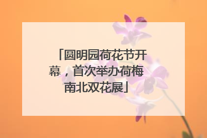 圆明园荷花节开幕，首次举办荷梅南北双花展