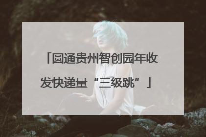 圆通贵州智创园年收发快递量“三级跳”