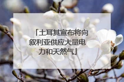 土耳其宣布将向叙利亚供应大量电力和天然气
