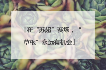 在“苏超”赛场，“草根”永远有机会