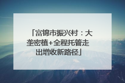 富锦市振兴村：大垄密植+全程托管走出增收新路径