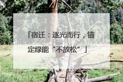 宿迁：逐光而行，锚定绿能“不放松”