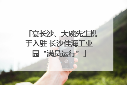 宴长沙、大碗先生携手入驻 长沙佳海工业园“满员运行”