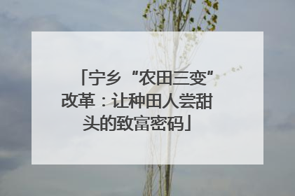 宁乡“农田三变”改革：让种田人尝甜头的致富密码