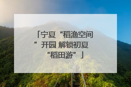 宁夏“稻渔空间”开园 解锁初夏“稻田游”