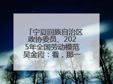 宁夏回族自治区政协委员、2025年全国劳动模范吴金霞：看，那一片金色的霞光