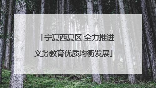 宁夏西夏区 全力推进义务教育优质均衡发展