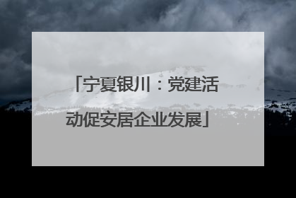宁夏银川：党建活动促安居企业发展