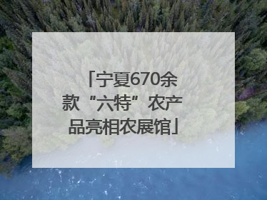 宁夏670余款“六特”农产品亮相农展馆
