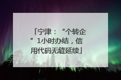 宁津：“个转企”1小时办结，信用代码无缝延续
