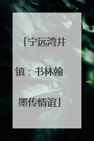 宁远湾井镇：书林翰墨传情谊