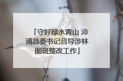守好绿水青山 漳浦县委书记督导涉林图斑整改工作