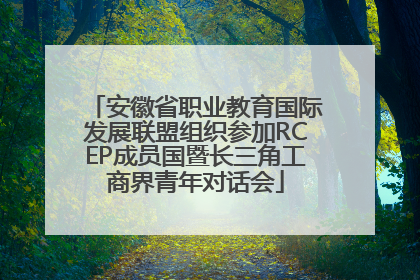 安徽省职业教育国际发展联盟组织参加RCEP成员国暨长三角工商界青年对话会
