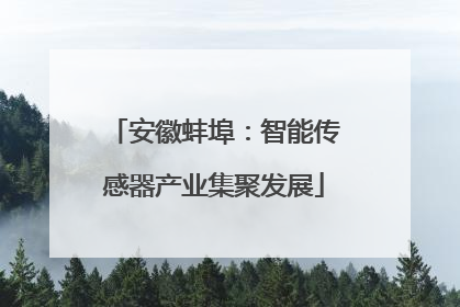 安徽蚌埠：智能传感器产业集聚发展