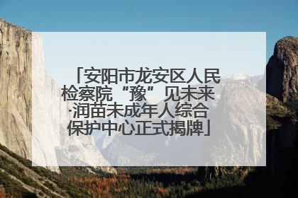 安阳市龙安区人民检察院“豫”见未来·润苗未成年人综合保护中心正式揭牌