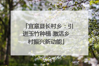 宜章县长村乡：引进玉竹种植 激活乡村振兴新动能