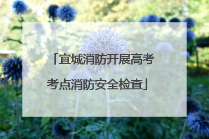 宜城消防开展高考考点消防安全检查
