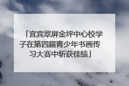 宜宾翠屏金坪中心校学子在第四届青少年书画传习大赛中斩获佳绩