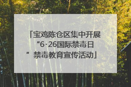 宝鸡陈仓区集中开展“6･26国际禁毒日”禁毒教育宣传活动