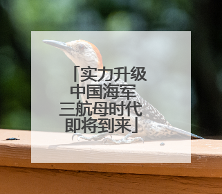 实力升级 中国海军三航母时代即将到来