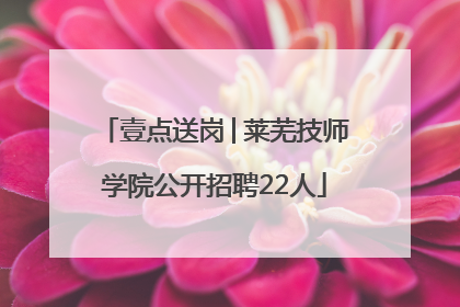 壹点送岗│莱芜技师学院公开招聘22人