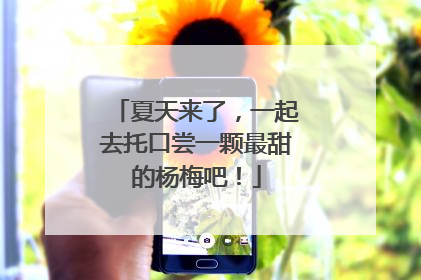 夏天来了，一起去托口尝一颗最甜的杨梅吧！