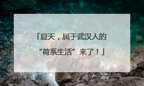 夏天，属于武汉人的“荷系生活”来了！