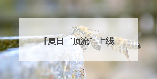 夏日“顶流”上线！石家庄这些公园“荷”你约个会！