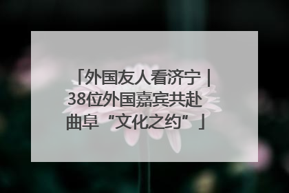 外国友人看济宁｜38位外国嘉宾共赴曲阜“文化之约”