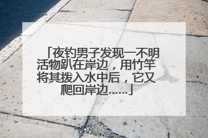 夜钓男子发现一不明活物趴在岸边，用竹竿将其拨入水中后，它又爬回岸边……