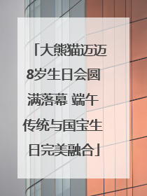 大熊猫迈迈8岁生日会圆满落幕 端午传统与国宝生日完美融合