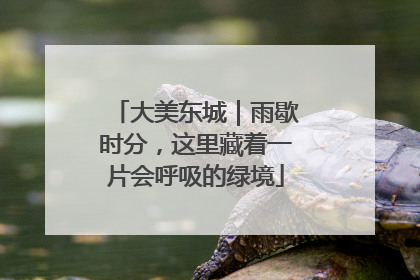 大美东城｜雨歇时分，这里藏着一片会呼吸的绿境