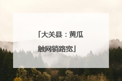 大关县：黄瓜触网销路宽